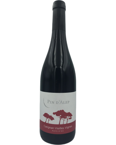 Pin D'Alep Carignan