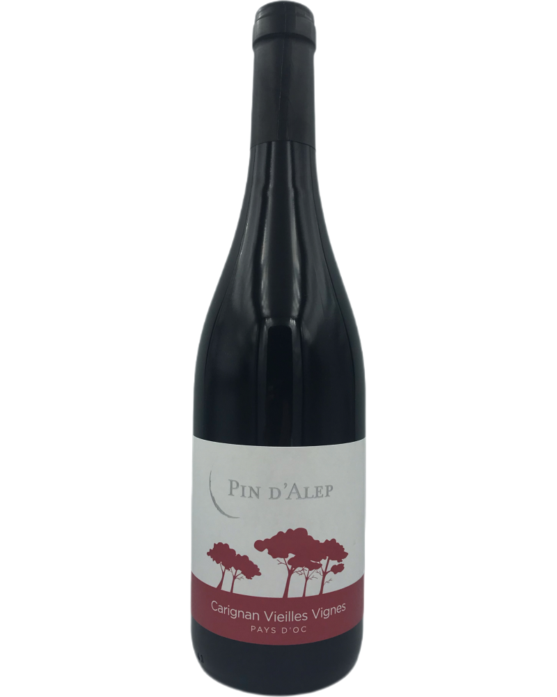 Pin D'Alep Carignan